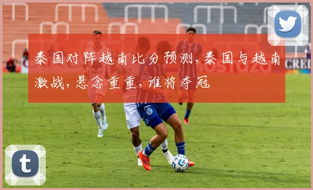 泰国对阵越南比分预测,泰国与越南激战,悬念重重,谁将夺冠