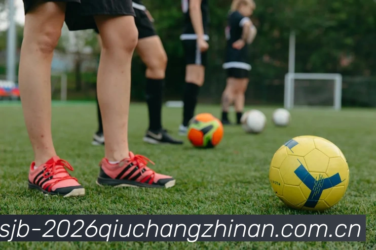 世界杯2026球场指南APP 高清赛事图